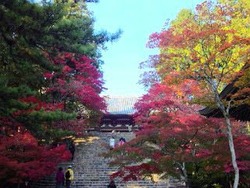 京都高雄で紅葉狩り♪