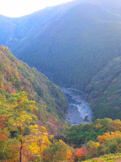 京都高雄で紅葉狩り♪
