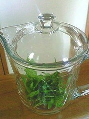 朝摘み新茶レモンの香り