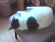 暑い時にアツいやつ