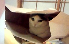 さあ!・・・アレ?