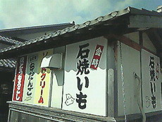 秋いろいろ
