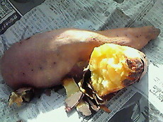 海老で焼き芋を釣る