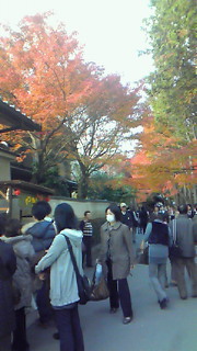京都紅葉巡りその1〜メジャー!東福寺