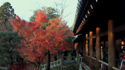 京都紅葉巡りその1〜メジャー!東福寺