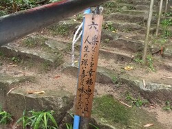 近江、そして天下