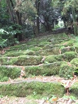 近江、そして天下