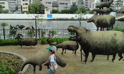 水都大阪2009