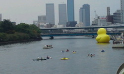 水都大阪2009