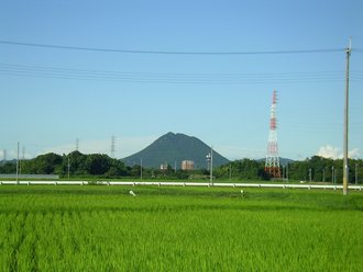今日はいいお天気でしたね
