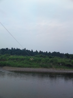 安曇川で散歩