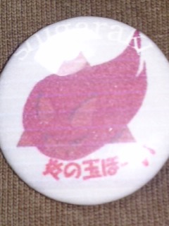 信楽のお土産です