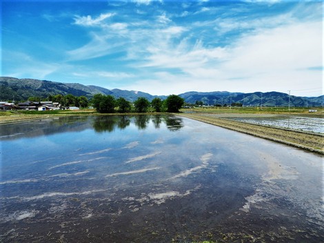 火曜日~明日は雨か? 火曜日~明日は雨か?