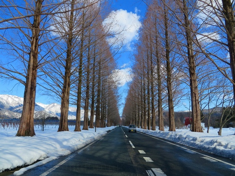 早朝から夕方まで青空快晴・・でも大雪注意報と降雪が・・ 早朝から夕方まで青空快晴・・でも大雪注意報と降雪が・・