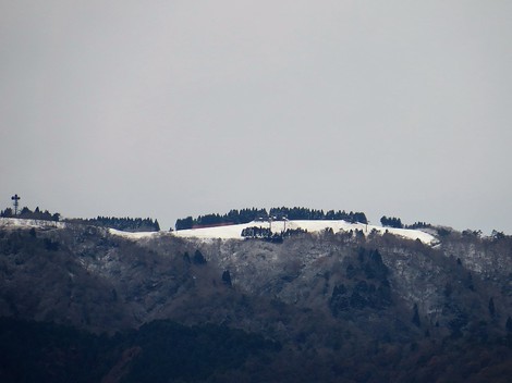 冬木立・・土曜日 冬木立・・土曜日