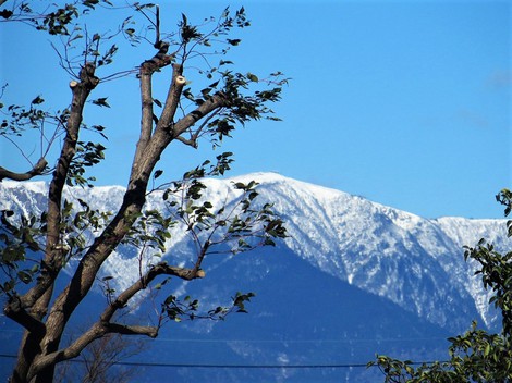 赤伊吹山~今津アメダス氷点下7度 赤伊吹山~今津アメダス氷点下7度