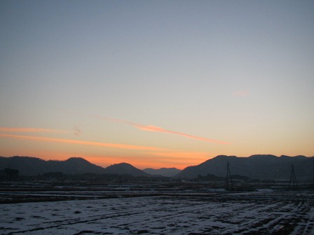 朝の琵琶湖光陽、お昼の、冬桜・・