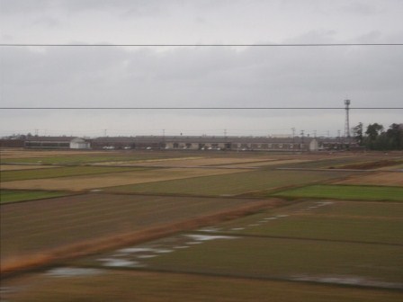 雨ばかりで・・月曜日でした
