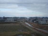 春の小さな蕾・・湖西線車窓から朝夕