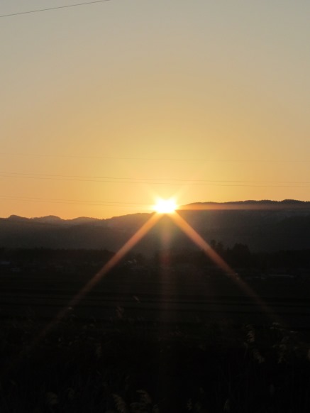 春めき・・夕景
