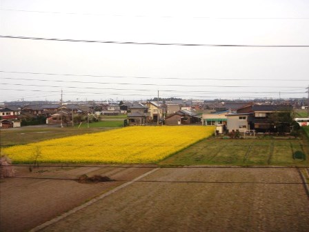 春うらら・・・琵琶湖岸