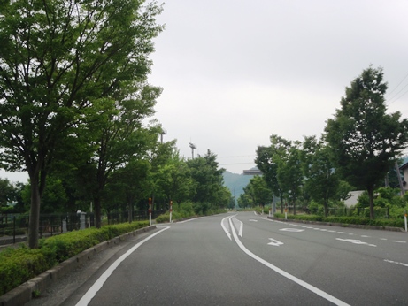週末、月末・・半年末の金曜日