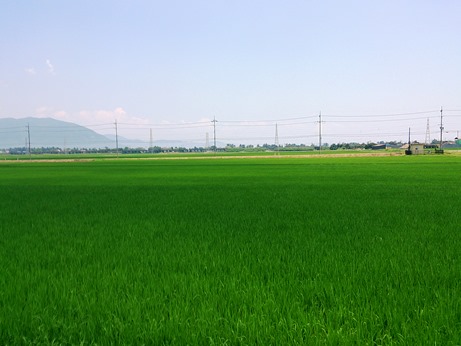 暑くって!・・でも夕焼け