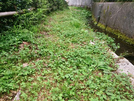 不安定な天候で・・土曜日