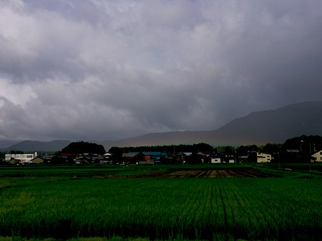 稲穂・・朽木からのブログ