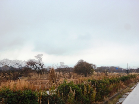 午後は小雨・・高島市内風景・・クリスマスイブ