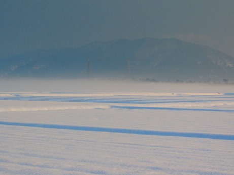 12月31日・・2013年でした。