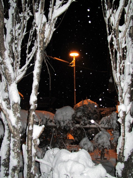 三が日・・・今日の夕方から急な積雪で・・