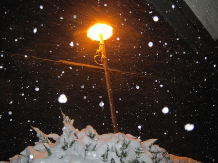 三が日・・・今日の夕方から急な積雪で・・