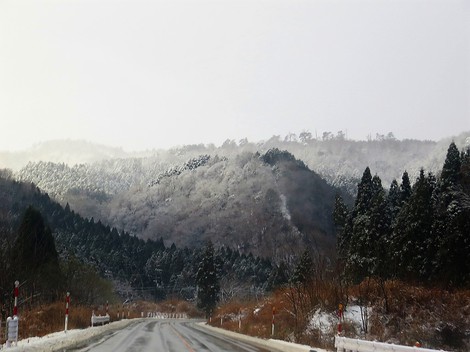 今日も雪の景色ばかりですが・・気温2度だった! 今日も雪の景色ばかりですが・・気温2度だった!