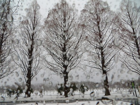 羽生が勝って、羽生が負けた・・吹雪の土曜日の出来事 羽生が勝って、羽生が負けた・・吹雪の土曜日の出来事