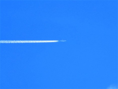 あまり晴れなかった・・つごもり あまり晴れなかった・・つごもり