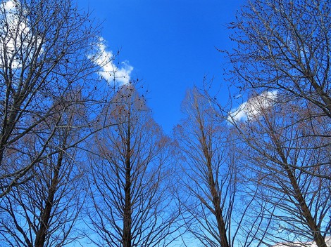 早朝から夕方まで青空快晴・・でも大雪注意報と降雪が・・ 早朝から夕方まで青空快晴・・でも大雪注意報と降雪が・・