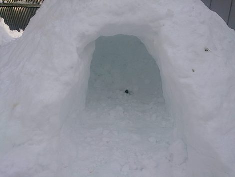 今夜も降雪中~大雪警報も継続中 今夜も降雪中~大雪警報も継続中