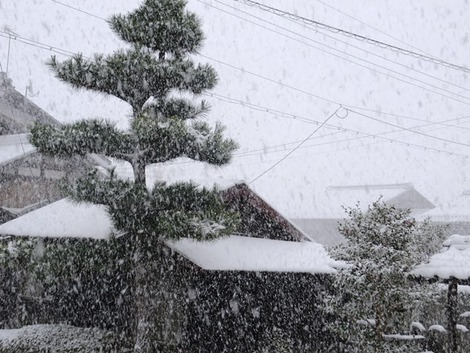 高島市「大雪警報」発令・・元旦 高島市「大雪警報」発令・・元旦
