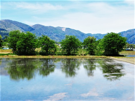 火曜日~明日は雨か? 火曜日~明日は雨か?