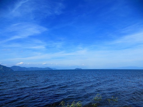 暑くても緑は深く・・琵琶湖も