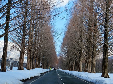 早朝から夕方まで青空快晴・・でも大雪注意報と降雪が・・ 早朝から夕方まで青空快晴・・でも大雪注意報と降雪が・・