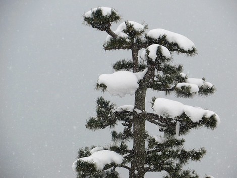 今日も低温で日曜日・・高島市内広範囲で積雪・・ 今日も低温で日曜日・・高島市内広範囲で積雪・・
