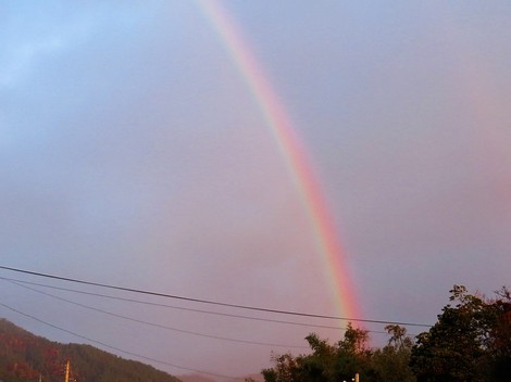 時雨の中で・・朝陽と虹