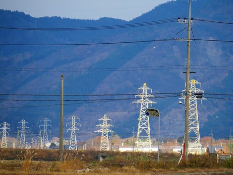 冬木立・・土曜日 冬木立・・土曜日