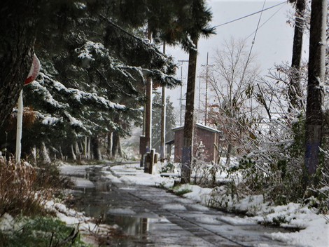 雪は降る～大雪注意報・・