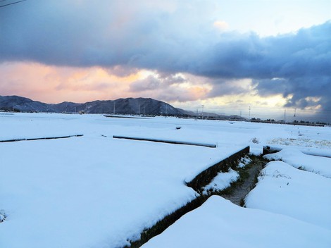 まだ大雪注意報・・雪は降ったり止んだりかな? まだ大雪注意報・・雪は降ったり止んだりかな?
