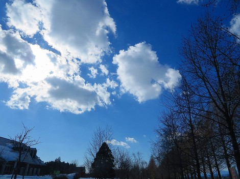 早朝から夕方まで青空快晴・・でも大雪注意報と降雪が・・ 早朝から夕方まで青空快晴・・でも大雪注意報と降雪が・・