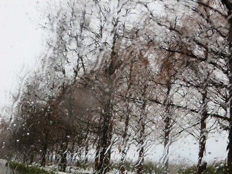 羽生が勝って、羽生が負けた・・吹雪の土曜日の出来事 羽生が勝って、羽生が負けた・・吹雪の土曜日の出来事