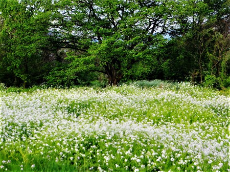 火曜日~明日は雨か? 火曜日~明日は雨か?